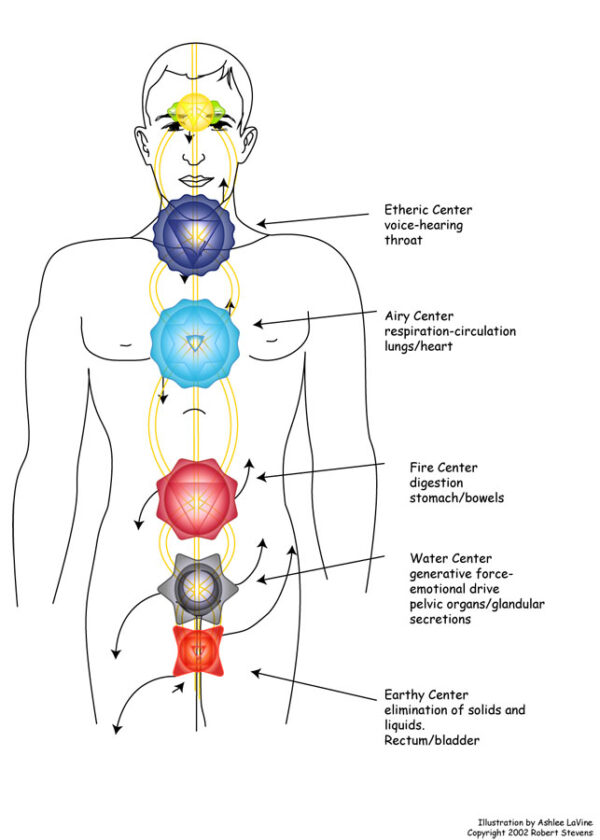 Major Chakras Anterior View | The New Mexico School of Natural Therapeutics